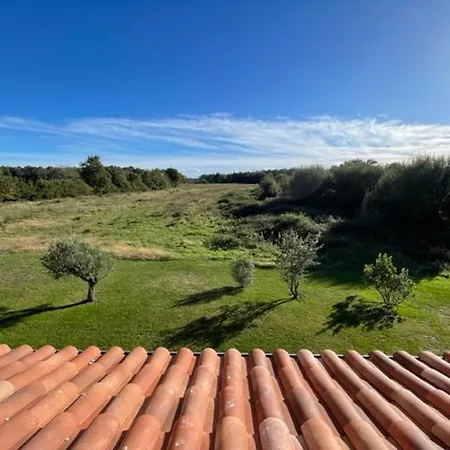 Vila Climatisee Pour 10 Pers. A Avec Piscine Chauffee - Fr-1-379-169 Soustons